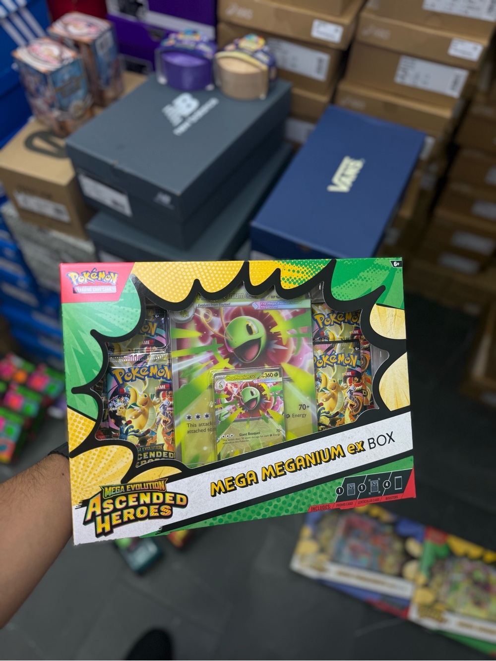Mega Meganium ex Box - Ascended Heroes - Pokemon